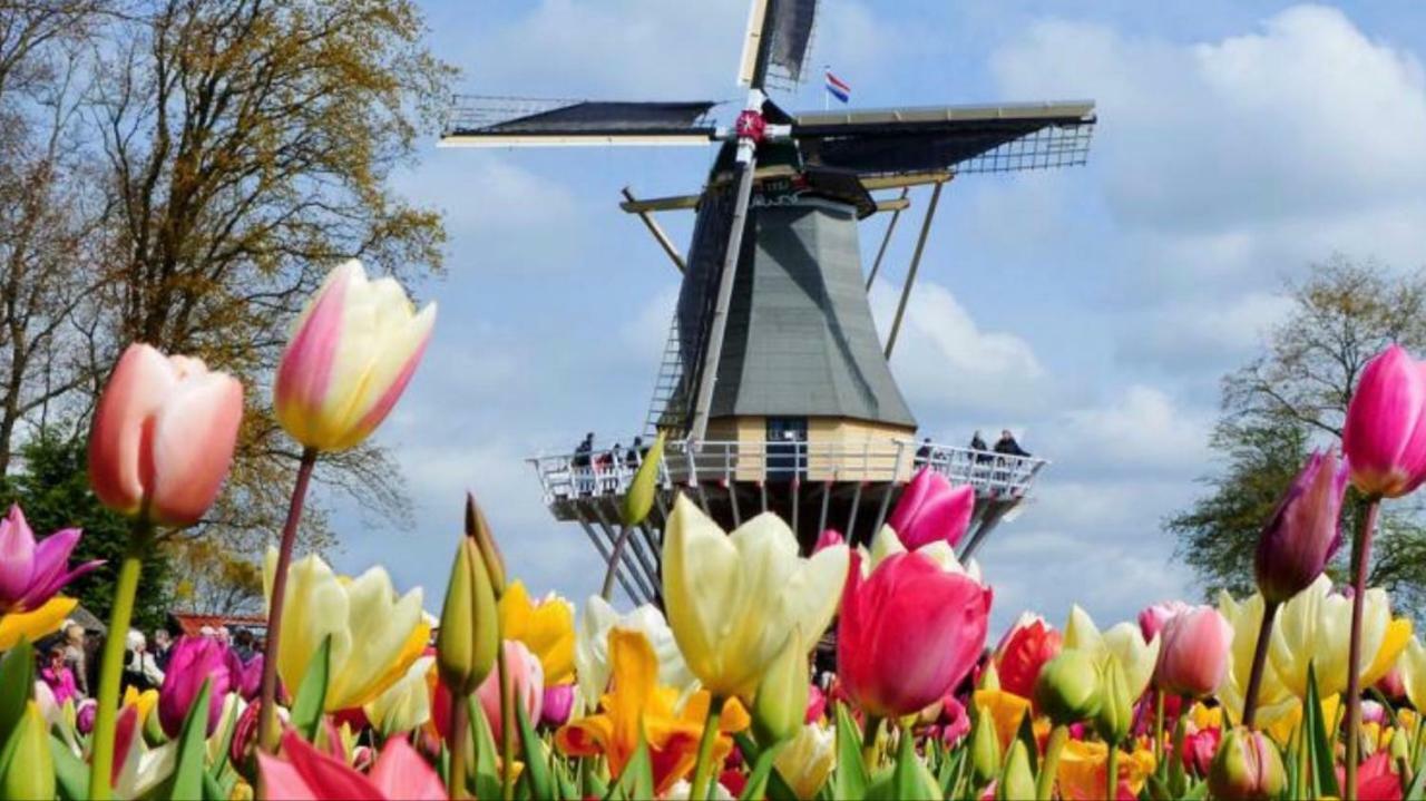 Lodge Noordwijk Luaran gambar